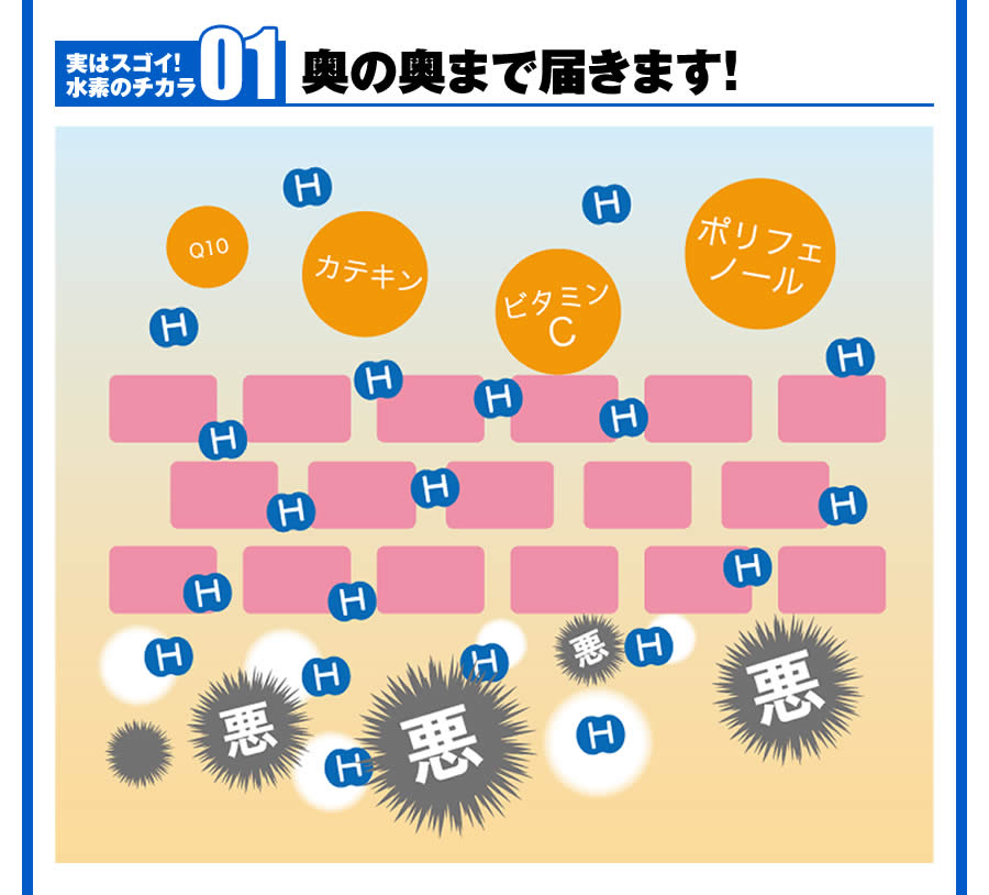 奥の奥まで届きます！