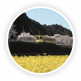 山口県・錦町の四季